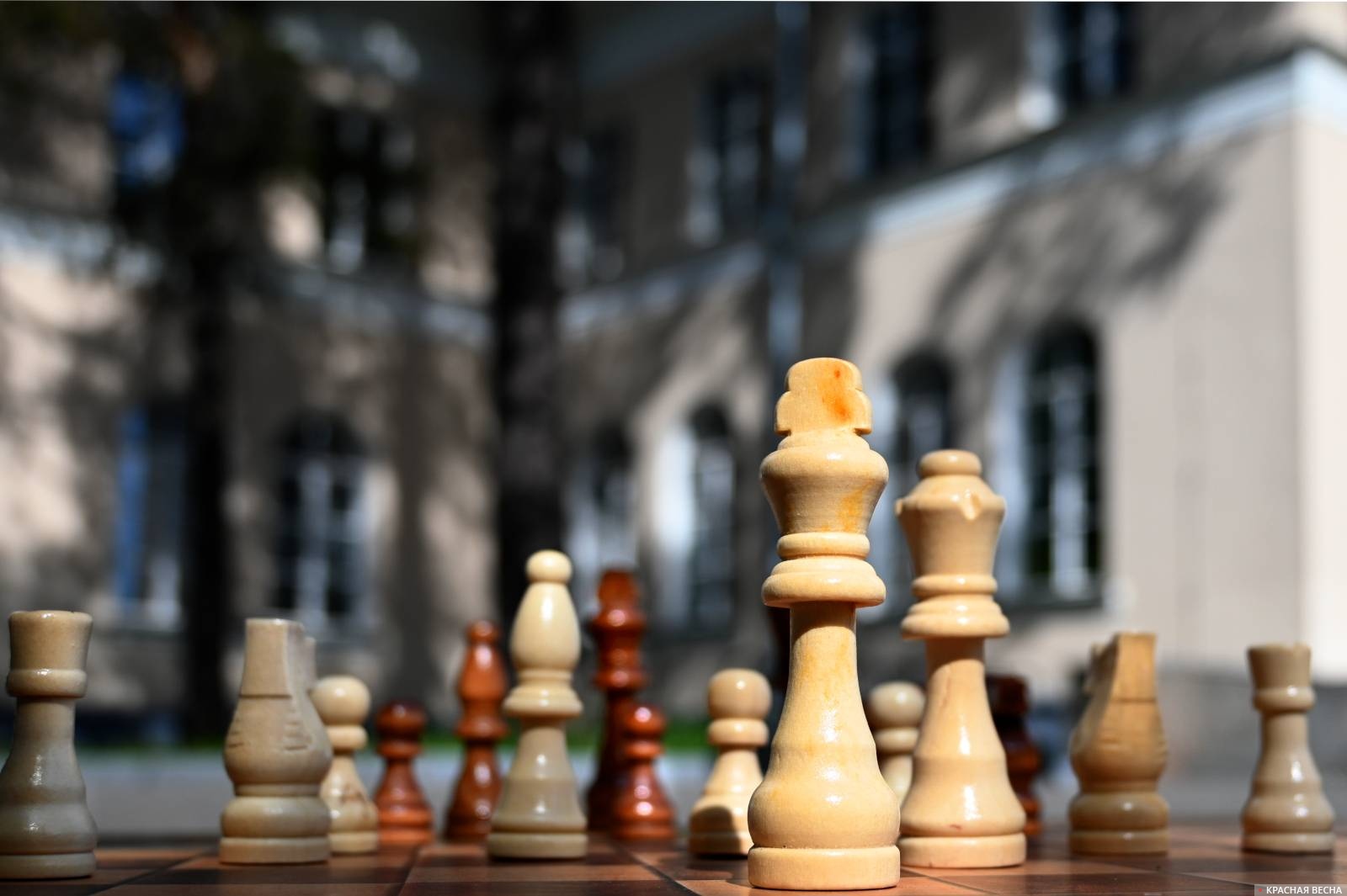 Сыгран шестой тур чемпионата Дагестана по шахматам среди женщин
