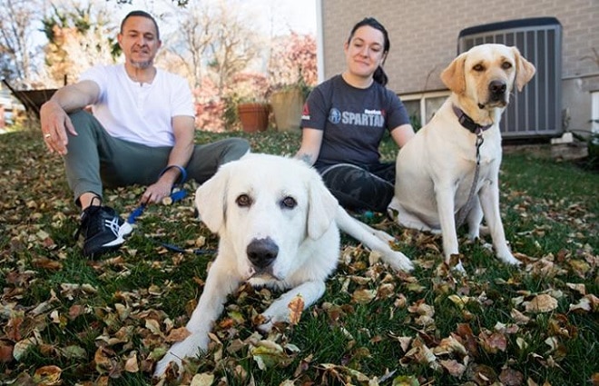 Собаки и семья 