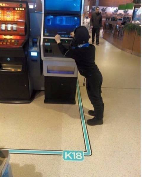 Делаю, что хочу! (20 фото)