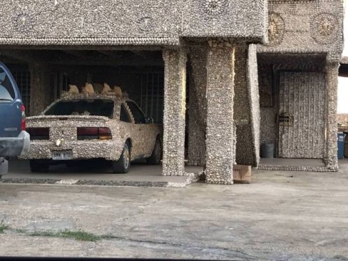 Свежие прикольные картинки Свежие прикольные картинки