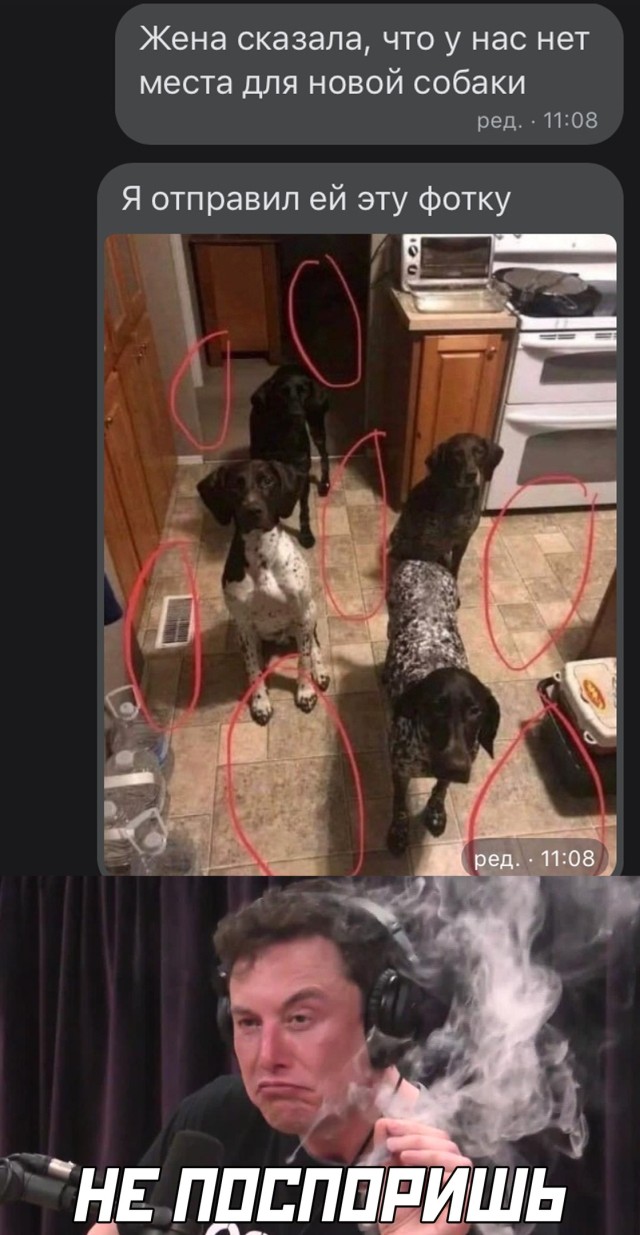 Подборка прикольных картинок.   приколы,смешные картинки,юмор