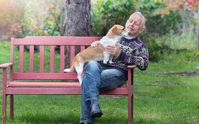 Пожилой человек с собакой