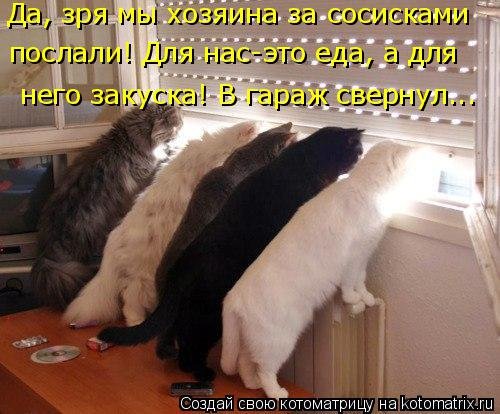 Свежая котоматрица (26 фото)
