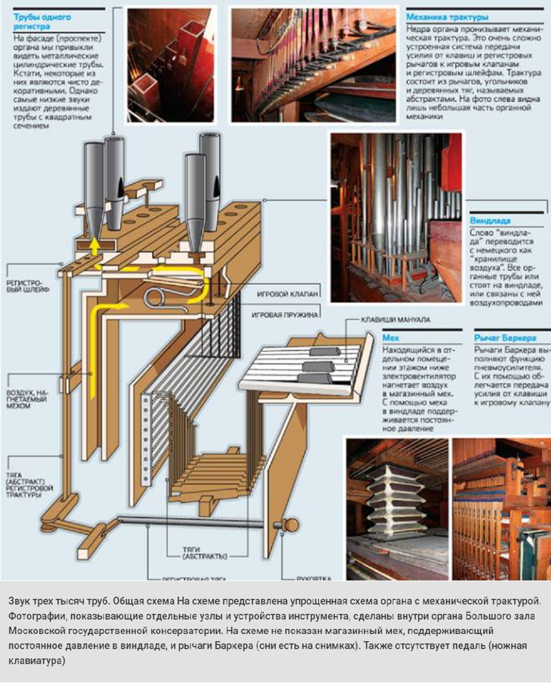 33 тысячи труб: как устроен орган музыкальные инструменты, орган, устройство