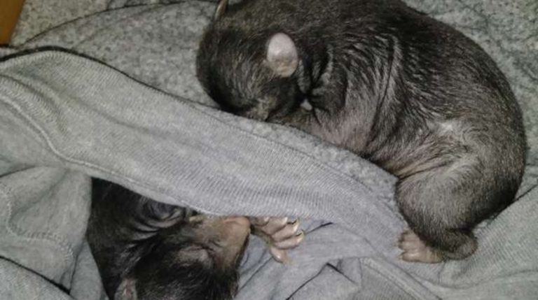 BeFunky-collage (16)