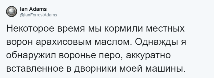 Мужчина четыре года кормил воронью семью, и те принесли ему таинственный дар 