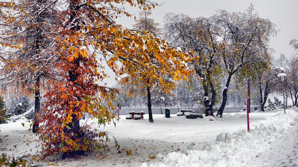 Синоптик Ильин назвал точную дату наступления климатической зимы — снег ляжет плотным покровом - актуальные новости по теме Метео на Toplenta