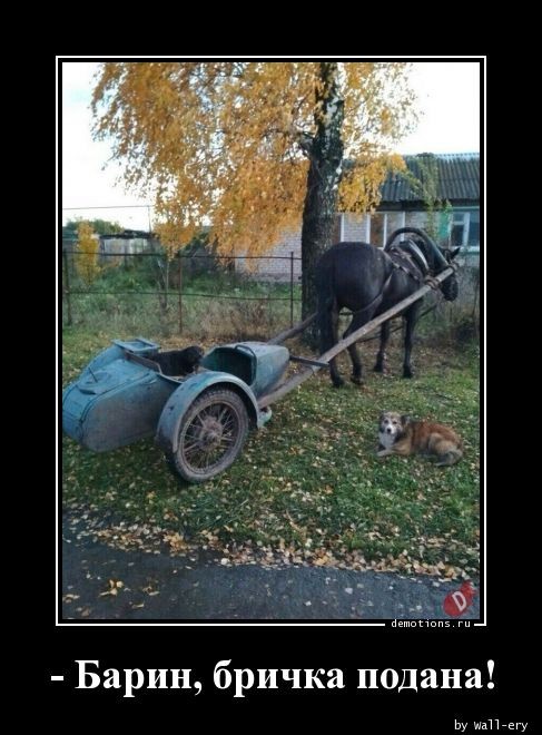 Демотиваторов пост: «Воспитание превыше всего!» Демотиваторов пост: «Воспитание превыше всего!»