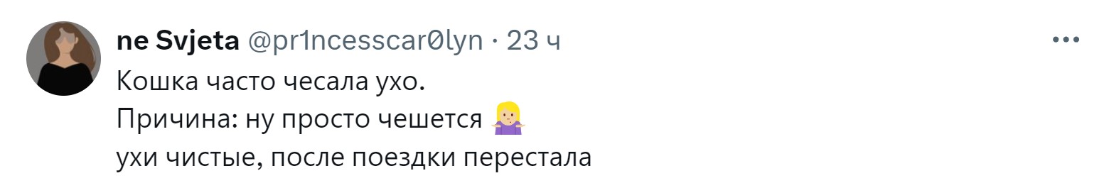 «Новообразование оказалось пупком»: 15 забавных причин, зачем питомцев возили к ветеринару правда, нужно, чтобы, кошки, совершенно, случае, возили, животных, животное, может, можно, своих, просто, узнать, ветеринару, внимание, Другое, Иногда, хозяин, начнёт