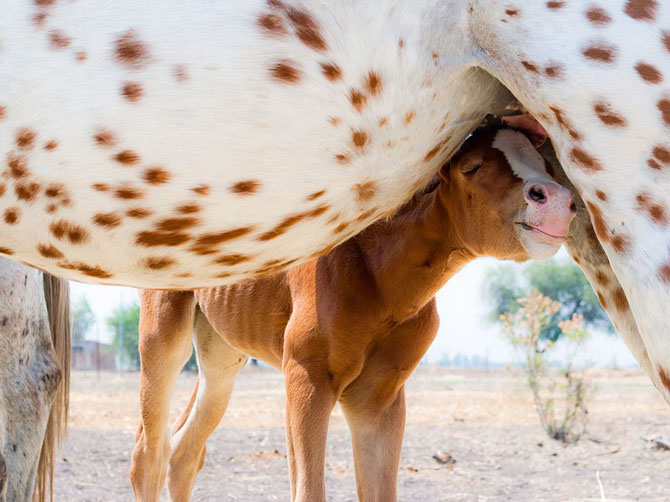 Лучшие фотографии National Geographic за июль 2014