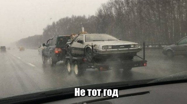 Фотоподборка среды Фотоподборка среды