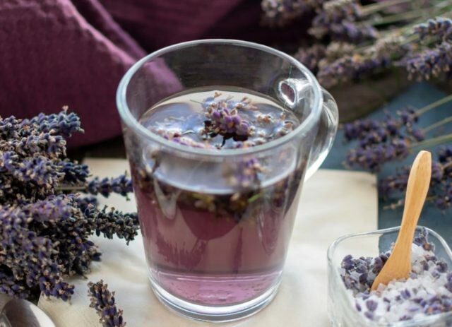 Душистый чай из цветов лаванды снимет стресс и напряжение. © appalachianbotanical  ????
