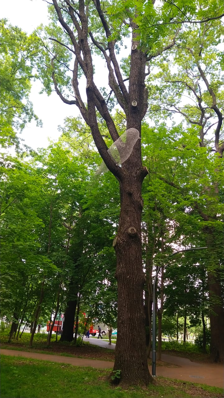 Экологическая тропа на ВДНХ