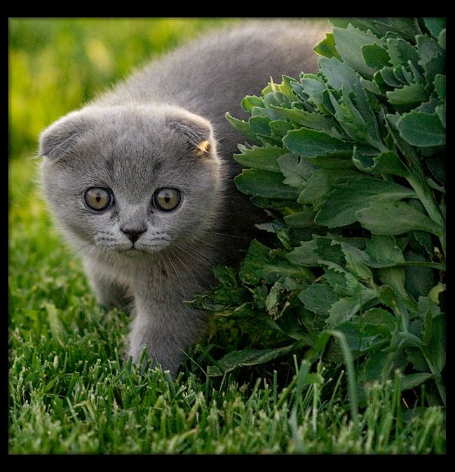 Забавно (40фоток)