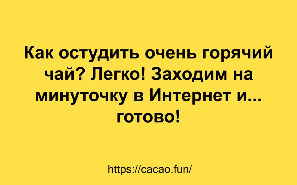 Поднимаем настроение: яркие афоризмы и анекдоты 