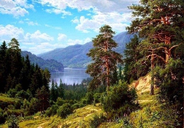 Невероятные картины Сергея Басова. Смотришь и отдыхаешь душой Невероятные картины Сергея Басова. Смотришь и отдыхаешь душой