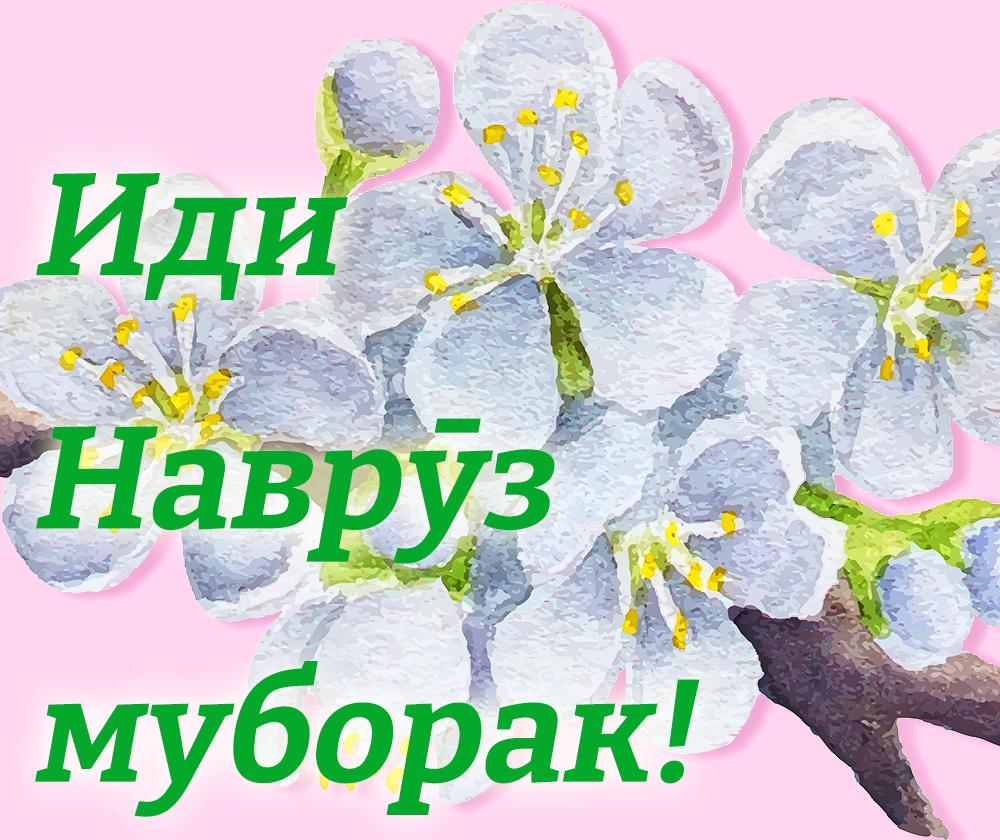 Навруз 2026: традиции праздника и коллекция открыток для поздравлений