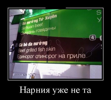Демотиваторы (15 фото)