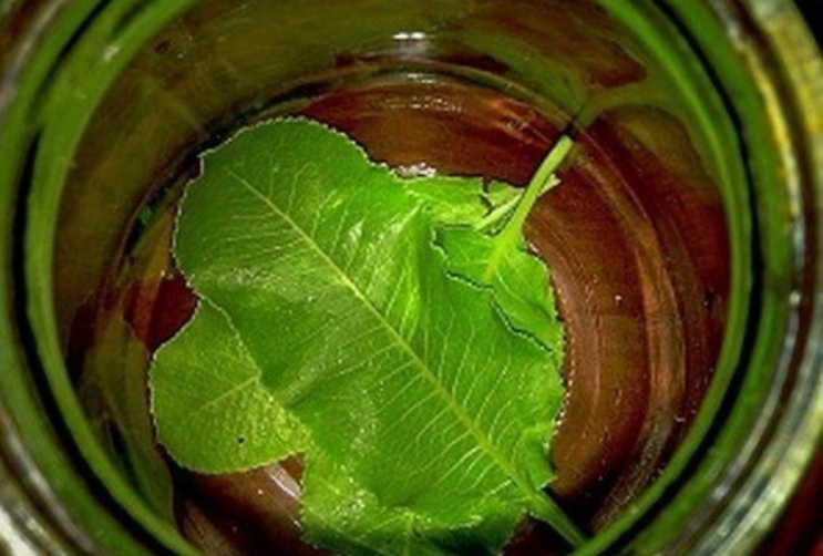 Если ноги стали слабыми - ищите причину в позвоночнике!