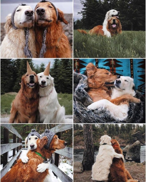 Классные и шикарные фотографии из нашей жизни Классные и шикарные фотографии из нашей жизни