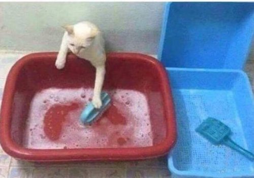 Прикольных картинок пост (38 шт)