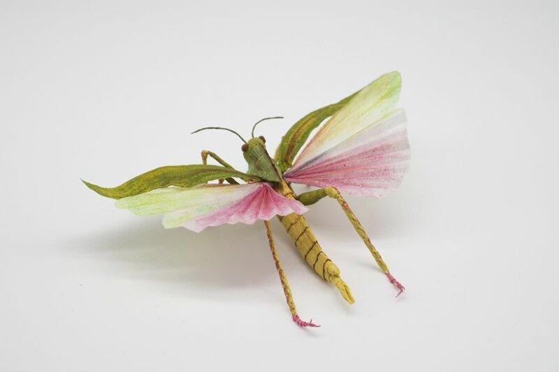 Бумажные насекомые, которых легко спутать с настоящими-24 фото-