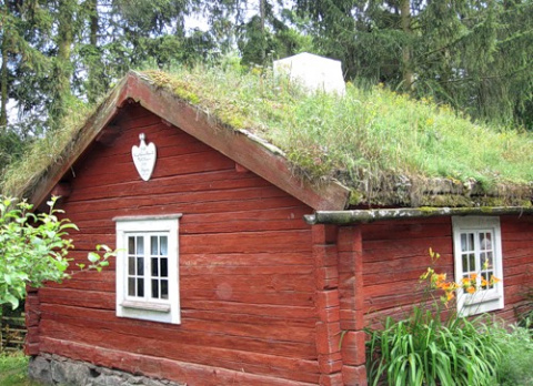 Травяная крыша