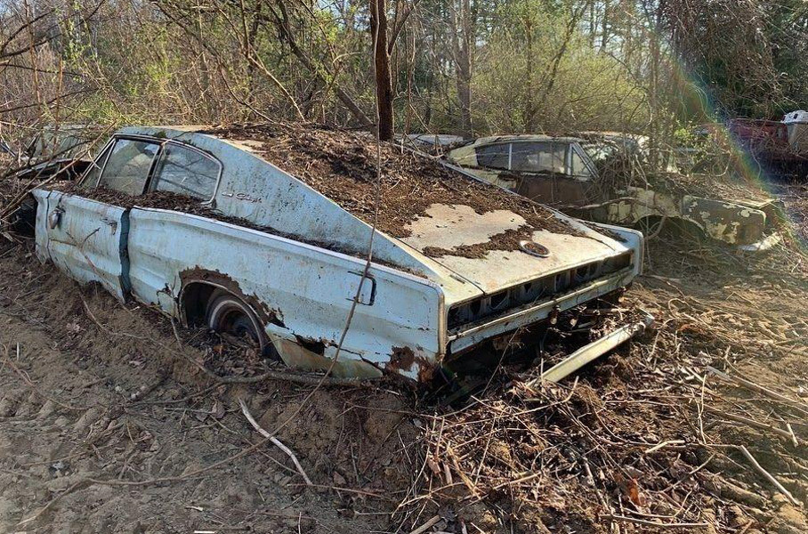 Завалялось в гаражах: лучшие автомобильные находки года Селектор