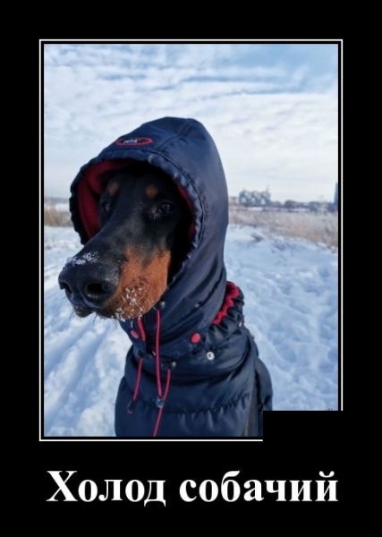 Мужики в день получки выходят с завода Мужики в день получки выходят с завода анекдоты