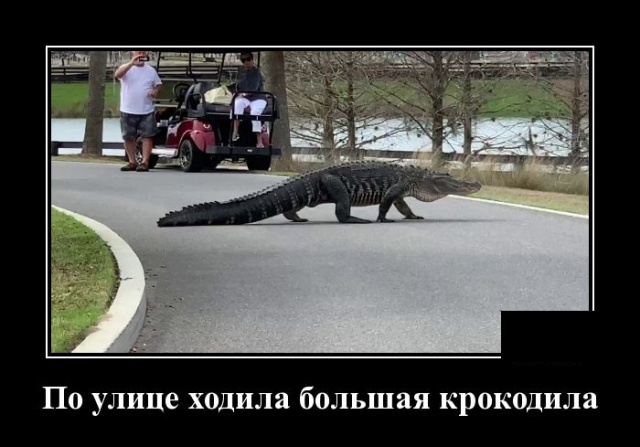 Подборка интересных и веселых картинок №66