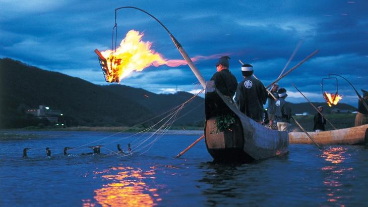 Рыбаки в древней Японии использовали прирученных бакланов. древняя япония, история, япония