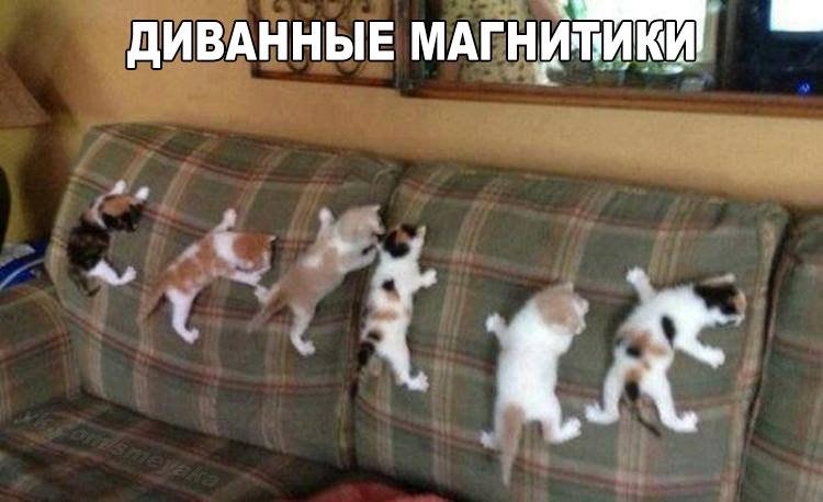 Прикольные и забавные картинки с надписями для улыбки и позитива Прикольные и забавные картинки с надписями для улыбки и позитива