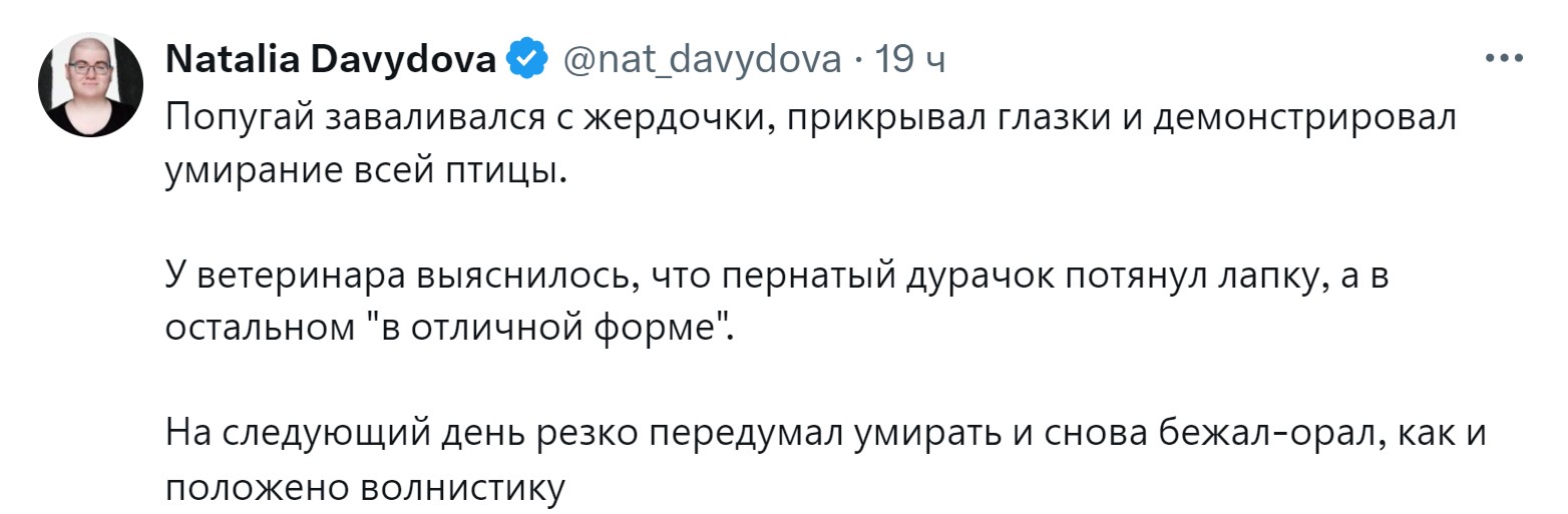 «Новообразование оказалось пупком»: 15 забавных причин, зачем питомцев возили к ветеринару правда, нужно, чтобы, кошки, совершенно, случае, возили, животных, животное, может, можно, своих, просто, узнать, ветеринару, внимание, Другое, Иногда, хозяин, начнёт