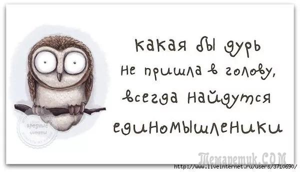 Студенты спрашивают преподавателя Студенты спрашивают преподавателя анекдоты
