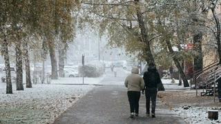 Снегопад в Барнауле / Фото: amic.ru / Екатерина Смолихина