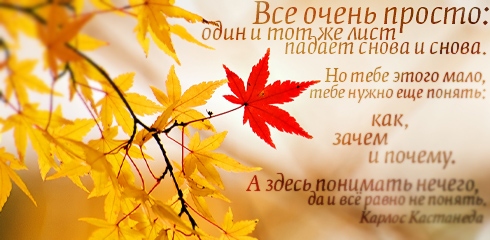 цитаты со смыслом и картинки с цитатами цитаты со смыслом и цитаты в картинках 58