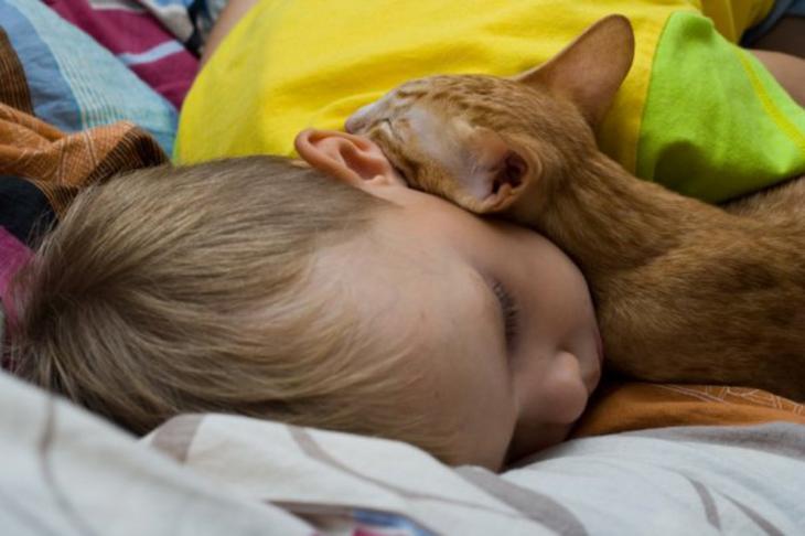 Милейший пост о самых сладких снах