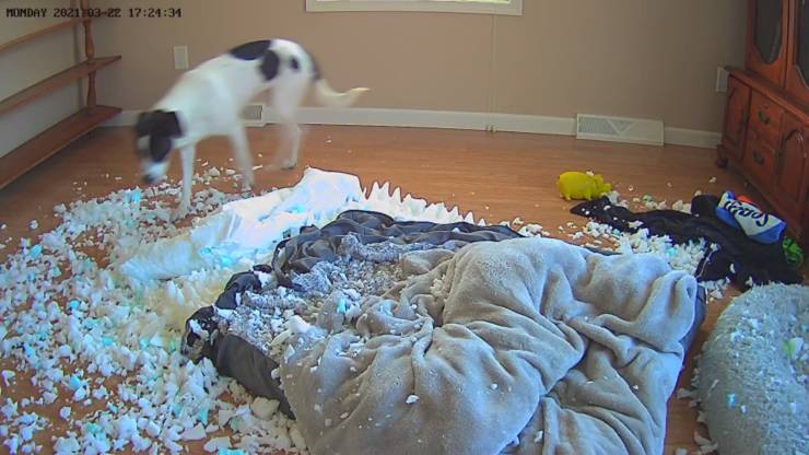 Подборка прикольных картинок Подборка прикольных картинок приколы,смешные картинки,юмор