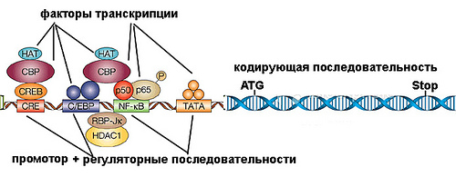 figure4.jpg