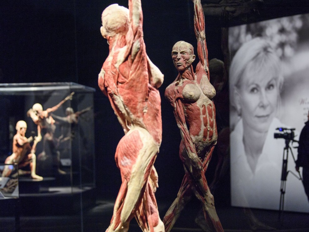 Анатомическая выставка в Женеве