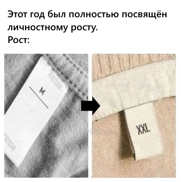 Не важно, с какой ноги ты встал. Главное, не на кота... Не важно, с какой ноги ты встал. Главное, не на кота...