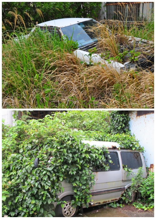 Жители острова бросили свои квартиры, имущество и даже автомобили (Остров-призрак Икешима, Япония).