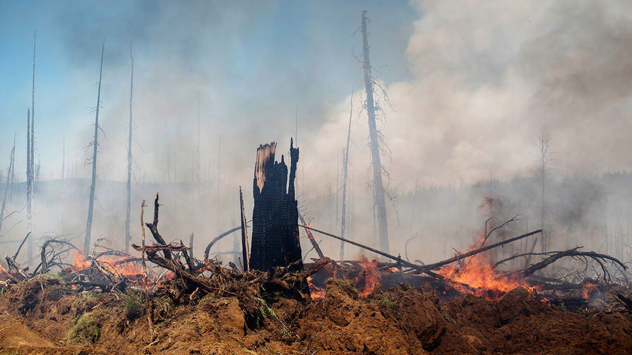 Mash: площадь лесных пожаров в Бурятии составила более 6 тыс. гектаров