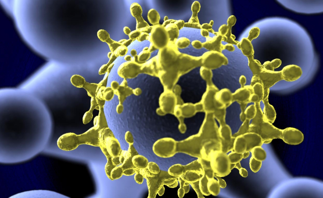 Самые опасные вирусы известные науке