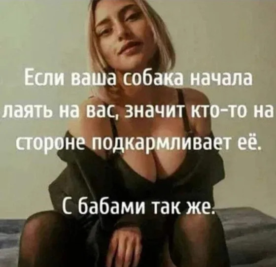 Готовы к дозе черного юмора, которая заставит вас смеяться до слез (и, возможно, немного испугаться)?