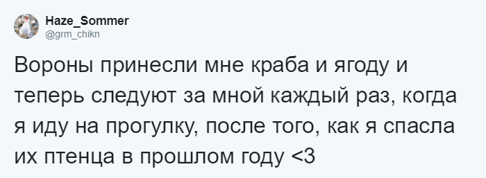 Мужчина четыре года кормил воронью семью, и те принесли ему таинственный дар 