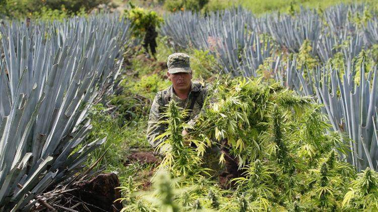 Албания после смерти Энвера Ходжи Албания после смерти Энвера Ходжи история
