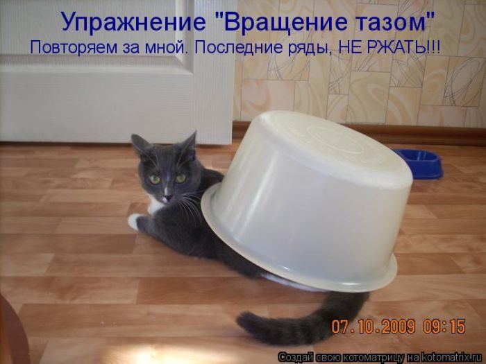 Мысли вслух :)