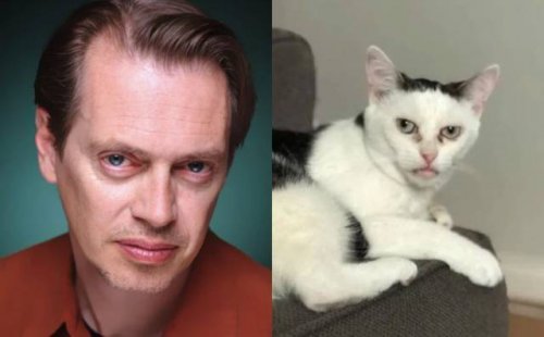 Свежие прикольные картинки Свежие прикольные картинки