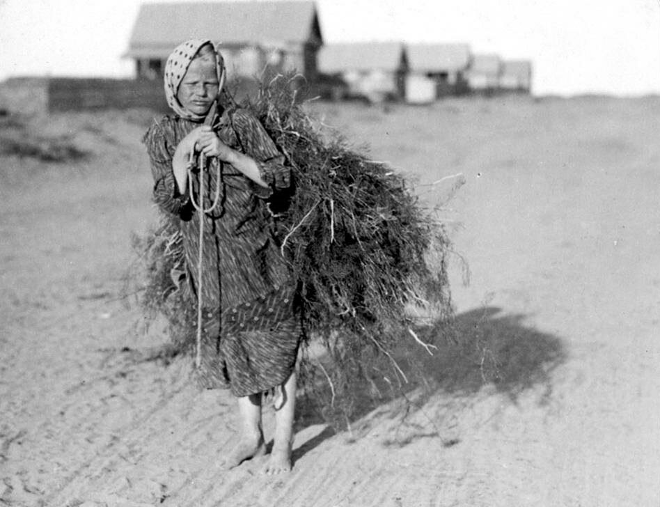 Привoлжские аcтраханcкие степи, 1912-1913 гг․. | Фото: Захарий Виноградов